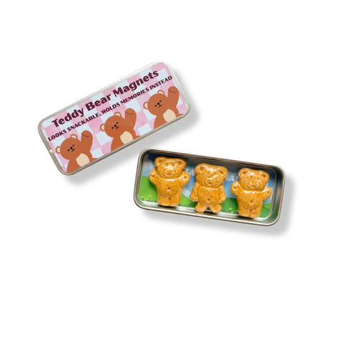 Teddy Magnets